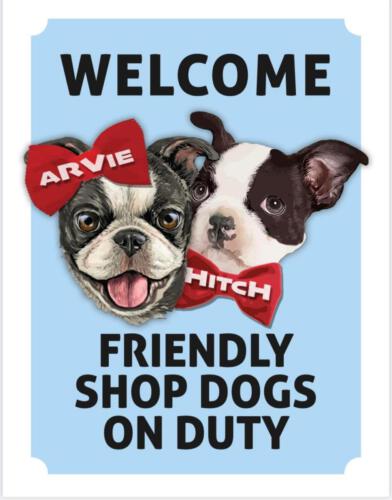 Friendly Shop Dogs - Arvie & Hitch